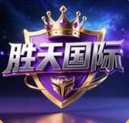胜天国际